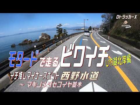 【DトラッカーX #157】ビワイチ琵琶湖北西岸編　イチ推しマイナースポット・史跡西野水道とメジャースポット・マキノメタセコイヤ並木【関西】【滋賀】【日帰りツーリング】