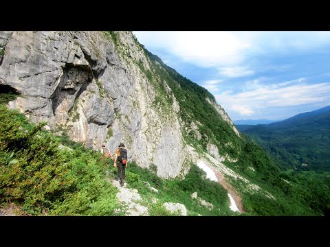 猛暑に汗だくで山を歩いたら異世界な景色だらけだった / Summer Hiking