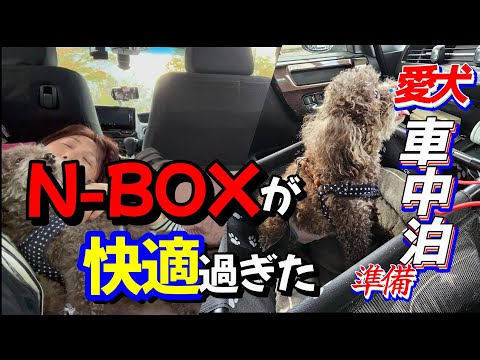 【N-BOX】お散歩が苦手のシニア犬が湖畔を楽しんだ｜車中カフェとソファマットレスで車昼寝♪#ドライブ #トイプードル 引きこもり