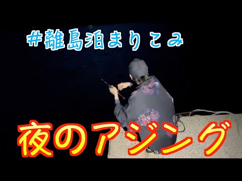 【離島泊まり企画】離島でアジングが最高な件