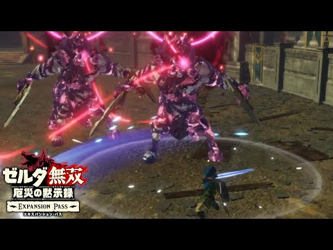 【アポカリプス】Ex 闘技場 極位+ ノーダメージクリア【ゼルダ無双 厄災の黙示録】【Hyrule Warriors】