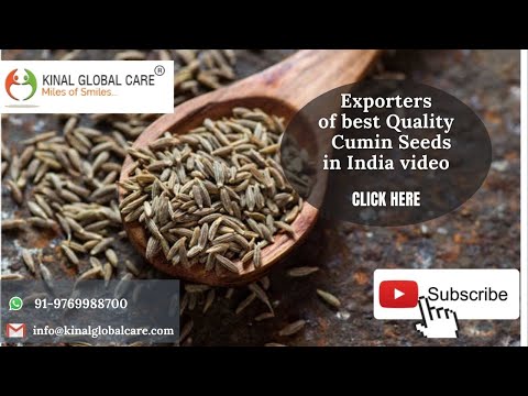 Cumin Seeds Exporters In India