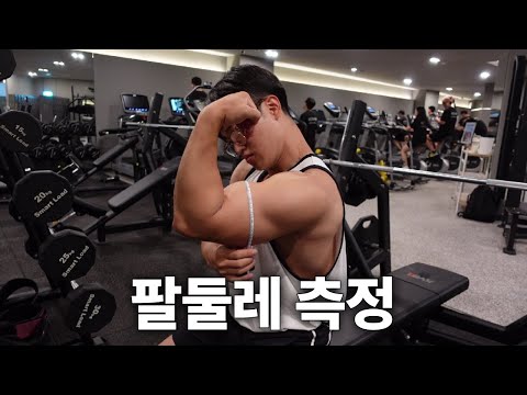 헬스 6년차의 팔둘레는 몇 cm일까?