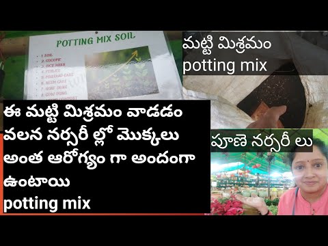 నర్సరీ ల్లో దొరికే మట్టి మిశ్రమంPotting mix గురించిసమాచారంPune nurseries/Telugudanam by Divyavarma