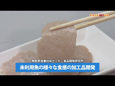 産業技術HOT情報：未利用魚の様々な食感の加工品開発（2024.7）