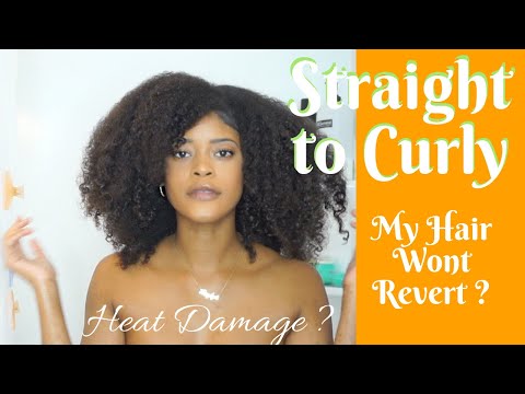 STRAIGHT TO CURLY Hair Routine | No HEAT DAMAGE? | Type 4 Natural Hair Tutorial