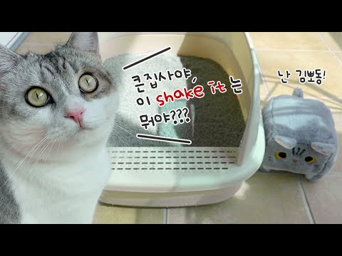 서열꼴찌 동생과 뽀또 동생 김뽀동의 ★콜.라.보★ (With 코스믹캣)