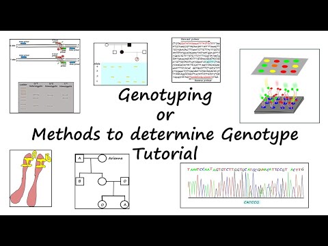 Methods to determine genotype or genotyping - Tutorial #genetics #molecular biology