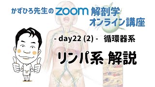 zoom解剖学 day22(2) 循環器系 - リンパ系解説