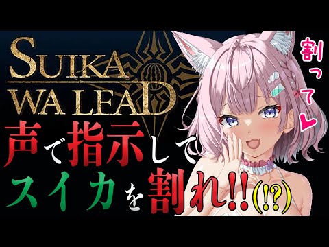 【 SUIKAWA LEAD 】声で指示厨してスイカを割るRPG！？？？(!?)【博衣こより/ホロライブ】