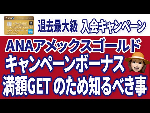 知らないと大損 ！ANAアメックスゴールドキャンペーン攻略法５つ