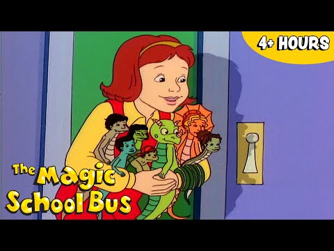 The Magic School Bus 🚌 Season 2 Marathon!