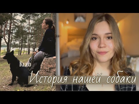 ВЗЯЛИ СОБАКУ ИЗ ПРИЮТА | что нужно знать ДО | проблемы, сколько денег и нервов потратили