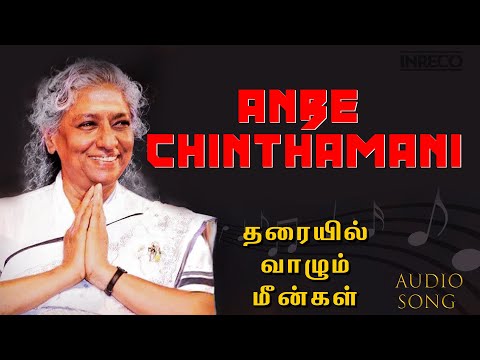 Anbe Chinthamani - Romantic Duet | Janaki, Malaysia Vasudevan | Tharayil Vaazhum Meengal Tamil Film