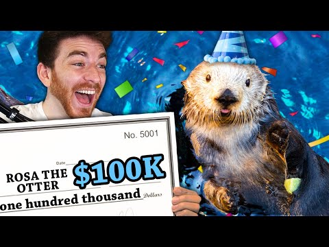 We raised $100,000 for a Sea Otter’s birthday