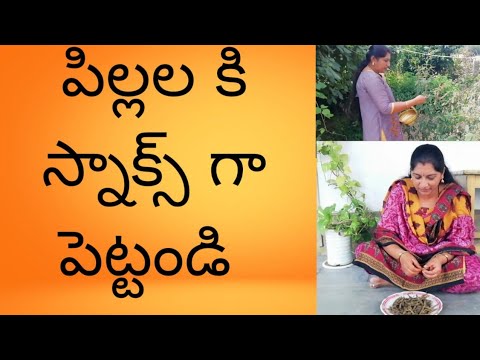 నా గార్డెన్లో ఉన్న కందికాయలను కోసి ఉడకబెట్టాను వీటిలోఎన్నో పోషక విలువలుఉన్నాయి #Naliniravindraprasad