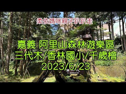 嘉義阿里山森林遊樂區 三代木/香林國小/千歲檜 2023/6/23-05