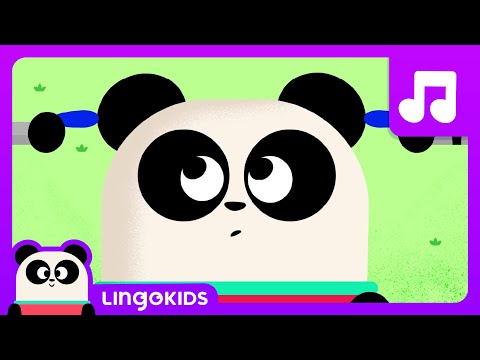 Head Shoulders Knees and Toes 🎶 Dance with Baby Bot | Lingokids