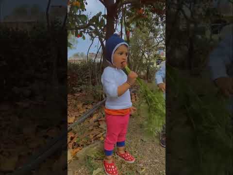 🥰choti jehi zindagi na khul ke jiyenge 💚🌾💗🌿 #punjabisong #monk #punjabi #viral #cute #cutebaby..