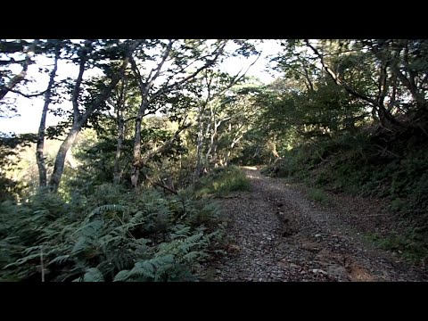 林道三峠線(三峠山→広場)@221002_1430