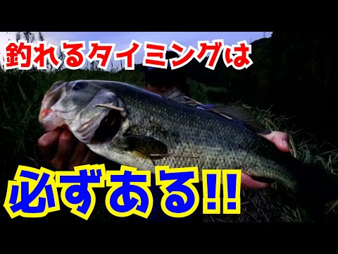 タイミングでデカバスは現れる！バス釣り