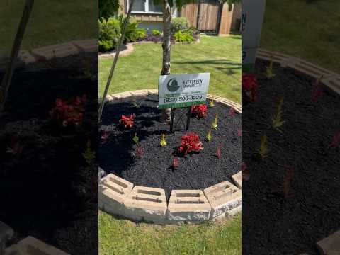 Mulching the garden beds #houstontexas #lawn #satisfyinglawncare #htx