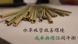 水草吸管改善環境 成本與環保間平衡｜小世界周報｜世新大學新聞學系