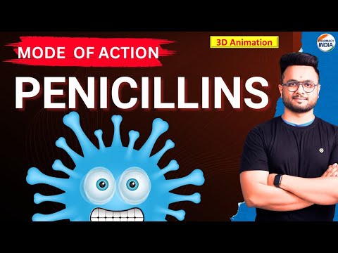 Penicillin | First Antibiotic | 3D Animation | Complete Information | Mode Of Action