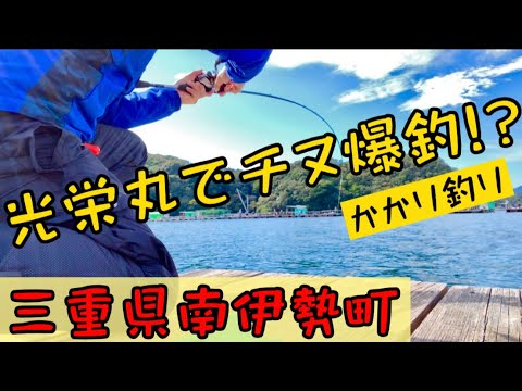 【チヌかかり釣り】三重県南伊勢でチヌまみれの渡船屋筏釣り