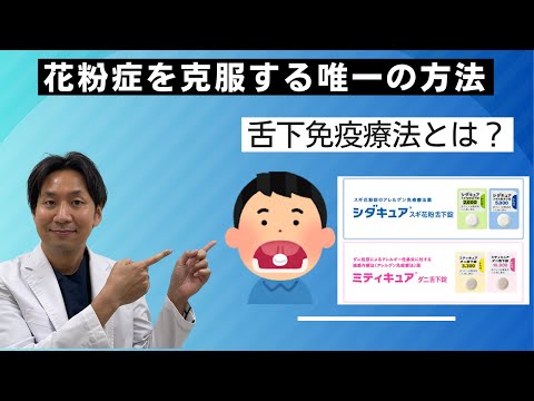 【舌下免疫療法、減感作療法】毎日１錠薬を服用するだけで来年の花粉症を克服？つらい花粉症を克服する唯一の方法かも。