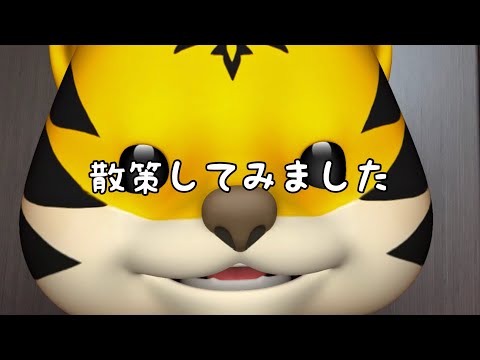 今日は甲子園球場内を散策してみました！ 2022/9/3今日のタイガース #hanshin #tigers #阪神タイガース