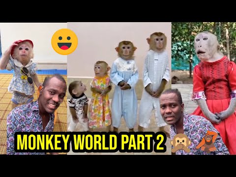 Monkey World Part 1 🙊🦧