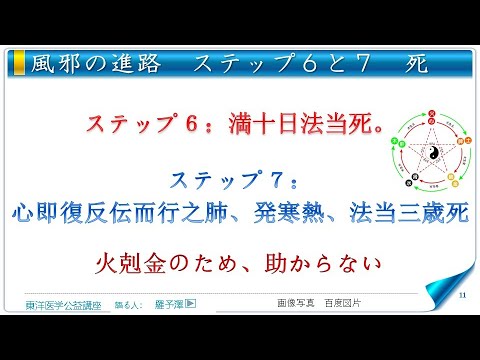 東洋医学公益講座　第263回黄帝内経‗玉機真蔵論3