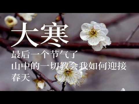 #大寒 一年中最后一个节气了，山中的一切教会我如何迎接春天