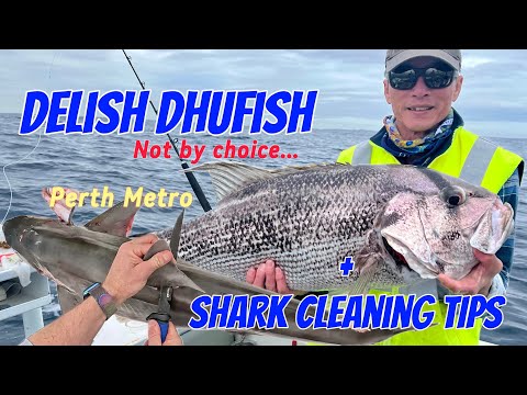 Delish Dhufish when weather goes bad & Shark Cleaning Hacks | Metro WA