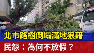 北市路樹倒塌滿地狼藉 民怨：為何不放假？