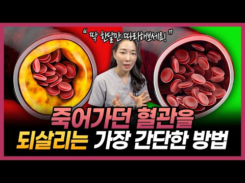 나이들수록 혈관 관리를 해야하는 이유 | 약없이 고지혈증 싹 사라지게 하는 방법