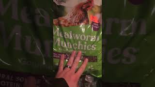 Chicken treats for like months!#mealworms #chickens #chickenfood #petchickens #backyardchickens