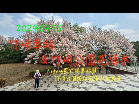 萬ㄟeye台灣20240415竹崎車站＆竹崎公園花旗木   4K