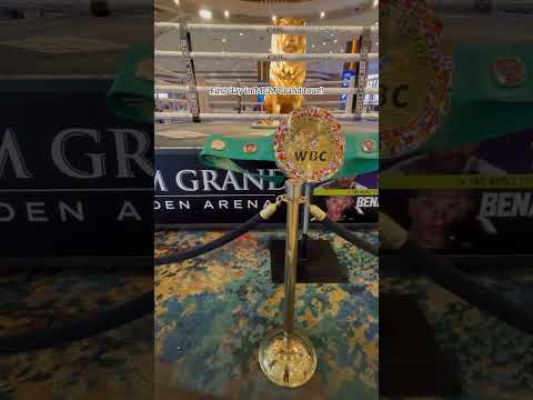 First day in Las Vegas (part 1) #lasvegas #mgmgrand #firstday