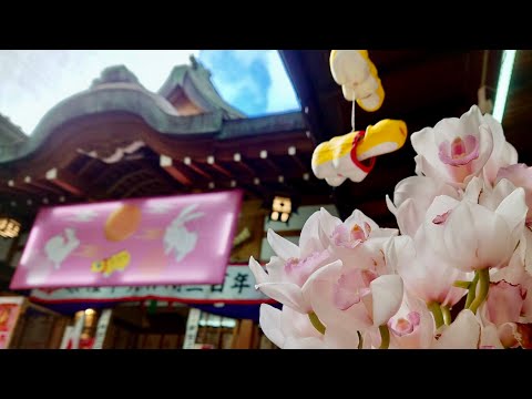 少彦名神社 お詣り 紀元祭 20230211 お薬の神様 シンビジウム