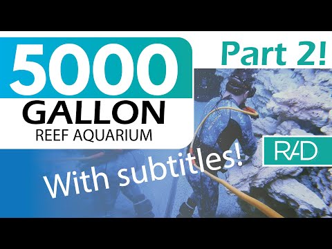 5000 GALLON REEF AQUARIUM IN FORT LAUDERDALE, FLORIDA BY REEF AQUARIA DESIGN PART 2