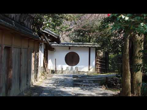 [ Nanoni anata wa kyoto ni yukuno ] 1971 Cherish