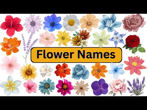 Flower Names with Pictures | Educational video