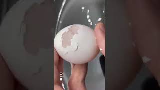 卵の殻の剥き方 生卵チャレンジ！ egg