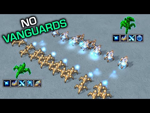 Dragoons vs Immortals, are they a worthy successor? 【Daily StarCraft Brawl】