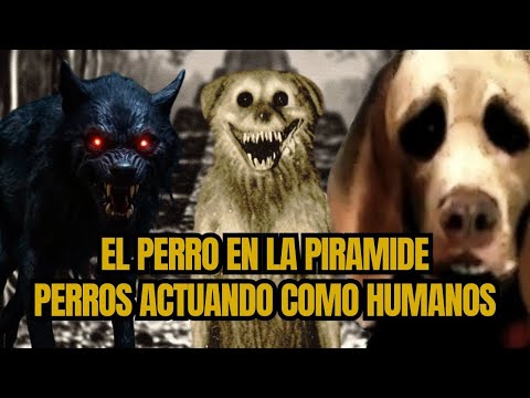 4 Historias de perros actuando como humanos. El perro de la mina.