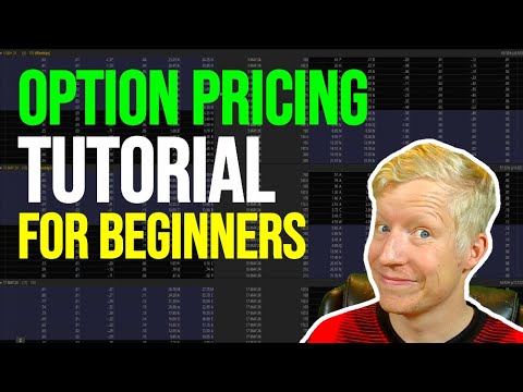 How Options are Priced (SIMPLY EXPLAINED)