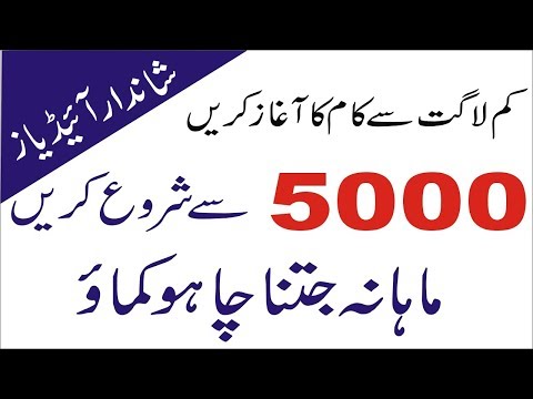 Small Business ideas in Pakistan with low investment | Smart Business Plan