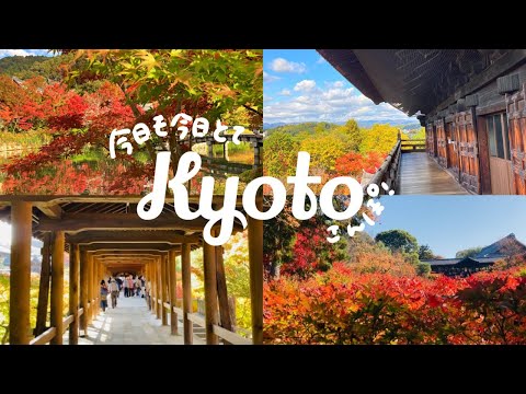 ［前編］そうだ、秋の京都行こう🍁